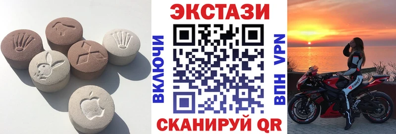 где можно купить Кашин ЭКСТАЗИ TESLA