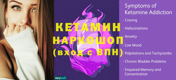 СК Надым
