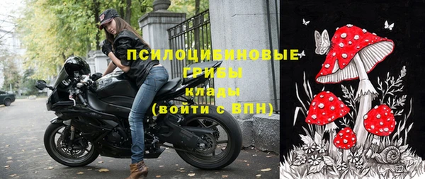 мдпв Вуктыл