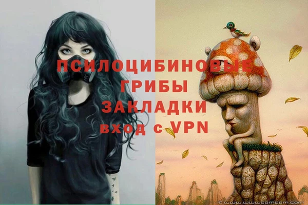 бошки Наволоки