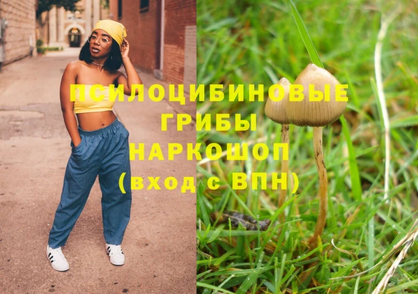 СК Надым