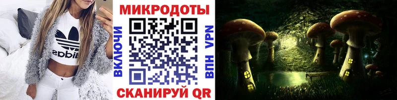 OMG ссылки  Кашин  мориарти телеграм  Галлюциногенные грибы ЛСД 